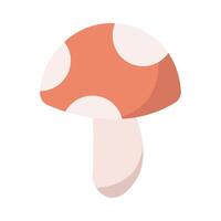 mushroom illustration for spring and summer element vector