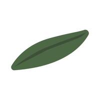 leaf a illustration for spring and summer element vector