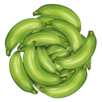 A watercolor circular arrangement of unripe plantains creating a visually appealing organic composition of fruit on transparent background png