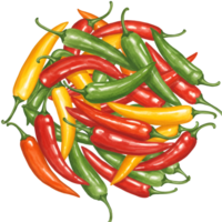 A watercolor vibrant assortment of colorful chili peppers arranged in a circular pattern on a plain setting on transparent background png