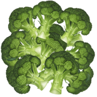 A watercolor cluster of fresh green broccoli florets arranged together in a visually appealing composition on transparent background png