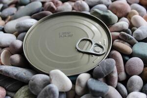 Tinned Fish Buried In Smooth Colored Sea Pebbles. Concept photo for illustration of shelf stable products