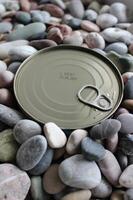 Flat Key Tin With Stamped Expiration Date Of 2027 In Small Sea Stones photo