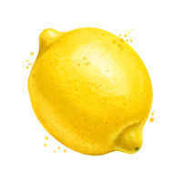 A single yellow lemon with small droplets around it on a plain backdrop in a studio setting on transparent background png