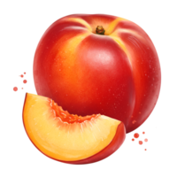 A vibrant nectarine with a slice next to it displaying its juicy interior on a plain backdrop on transparent background png