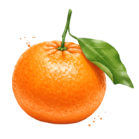 Close up view of a single orange fruit with a green leaf and stem on a plain background space on transparent background png