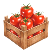 A wooden crate filled with ripe red tomatoes and green stems sitting on a plain background view from above on transparent background png