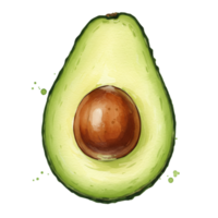 A halved avocado with a pit in the center on a plain setting in a watercolor style rendering art on transparent background png