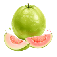 A single guava with two slices showing the pink flesh and seeds on a plain transparent area view on transparent background png