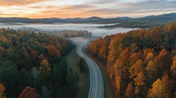 Long winding road through colorful forest with fog rolling in at sunrise, creating peaceful and serene landscape scene photo