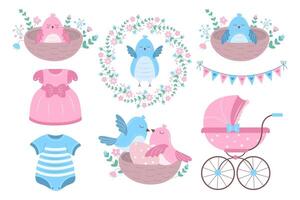 A set of graphic elements for a nesting party celebration. vector