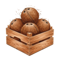 A wooden crate filled with four coconuts stacked on top of each other in a simple composition style on transparent background png