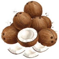 A collection of whole coconuts and coconut pieces arranged in a pleasing manner for presentation on transparent background png