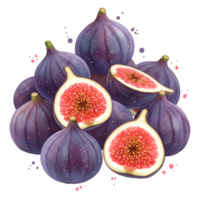 A cluster of fresh figs with some cut open revealing the pulp and seeds in a vibrant color palette on transparent background png