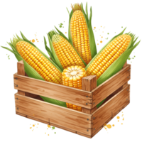 A wooden crate filled with fresh yellow corn on the cob with green husks in a transparent setting on transparent background png