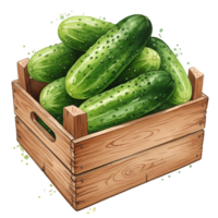 A wooden crate filled with several fresh green cucumbers stacked on top of each other in a pile inside on transparent background png