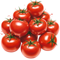 A plentiful pile of fresh tomatoes with green stems isolated against a plain backdrop scene view on transparent background png