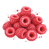 A luscious pile of fresh raspberries clustered together on a plain surrounding space in a vibrant display on transparent background png