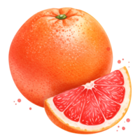 A whole grapefruit and a slice of grapefruit against a plain backdrop in a digital rendering style on transparent background png