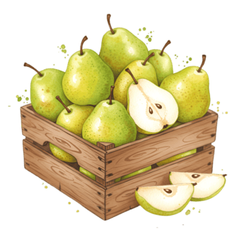 un' di legno gabbia pieno con pere e Due Pera fette posto nel davanti di il gabbia opera d'arte Immagine su trasparente sfondo png