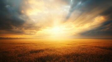 Dramatic sky with sun rays breaking through dark clouds over a vast field of golden wheat. Powerful and evocative natural scene photo