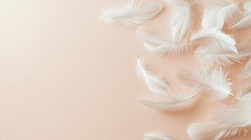 Soft white feathers scattered on a smooth, pale peach background with ample copy space on the left. Delicate and airy top-down composition photo
