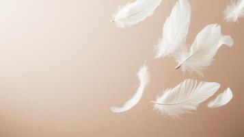 Several soft white feathers gently floating against a smooth, light beige background. Airy and delicate composition with ample copy space photo