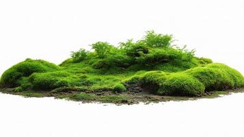 A moss covered island with trees and grass photo