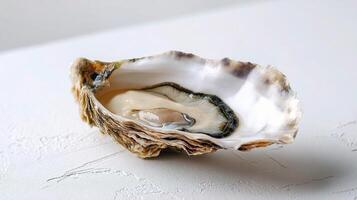 An oyster shell on a white surface photo