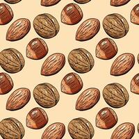 Realistic nut seamless pattern with almond and walnut vector