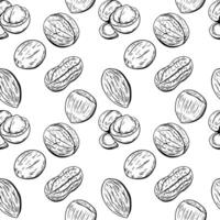 Mixed nuts seamless pattern in hand-drawn line art vector