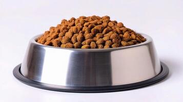 A bowl of dog food sitting on a white surface photo