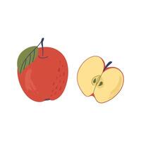 Red apple with leaf and sliced apple. Delicious ripe fruit. Hand drawn flat design illustration. vector