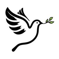 Dove of Peace with Olive Branch vector