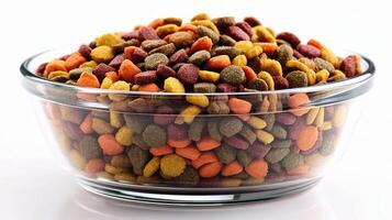 A bowl filled with dog food photo