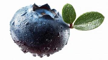 Blueberry with water droplets on white background photo