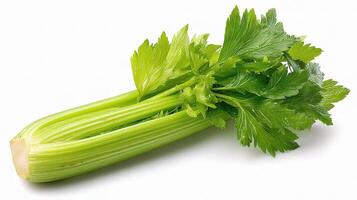 A celery leaf on a white background photo