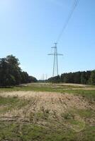 a tower for wires. A line of high-voltage wires under voltage runs through the entire forest. photo