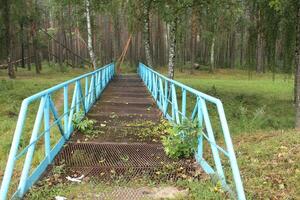 An old metal bridge leading to the forest. Forest near the city photo