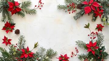 Poinsettia flower green fir tree branches on white background with copy space. Christmas New Years banner frame. photo