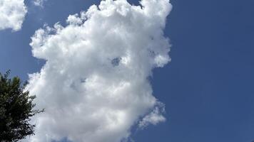 blue sky with white fluffy clouds photo