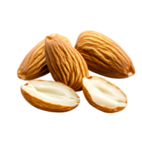 Fresh Almond Pieces with Soft Shadows on Transparent Background png