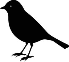 Bird silhouette showcases its unique shape while standing gracefully on white backdrop vector