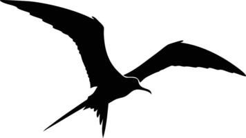 A majestic frigatebird silhouette soars gracefully with its wings outstretched against the white background vector