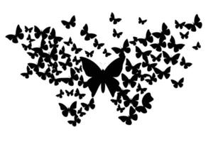 Numerous black butterfly silhouette icons are arranged and floating against the clear white background vector