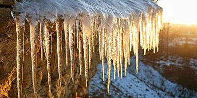 Sparkling Icicles Hanging From a Cliff in the Winter Sunlight photo