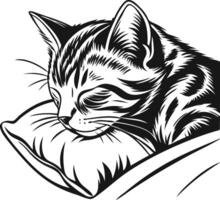 Sleepy Feline on Soft Pillow Illustration Available on EPS File vector