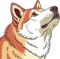 Akita Dog Available on EPS File vector