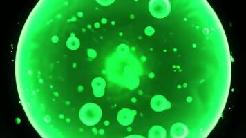 bubble abstract background with bokeh lights and circles for text video
