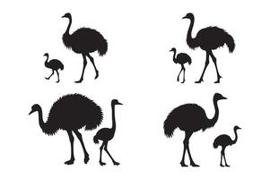 Ostrich with Baby Set Silhouette Illustration Isolated on White Background vector